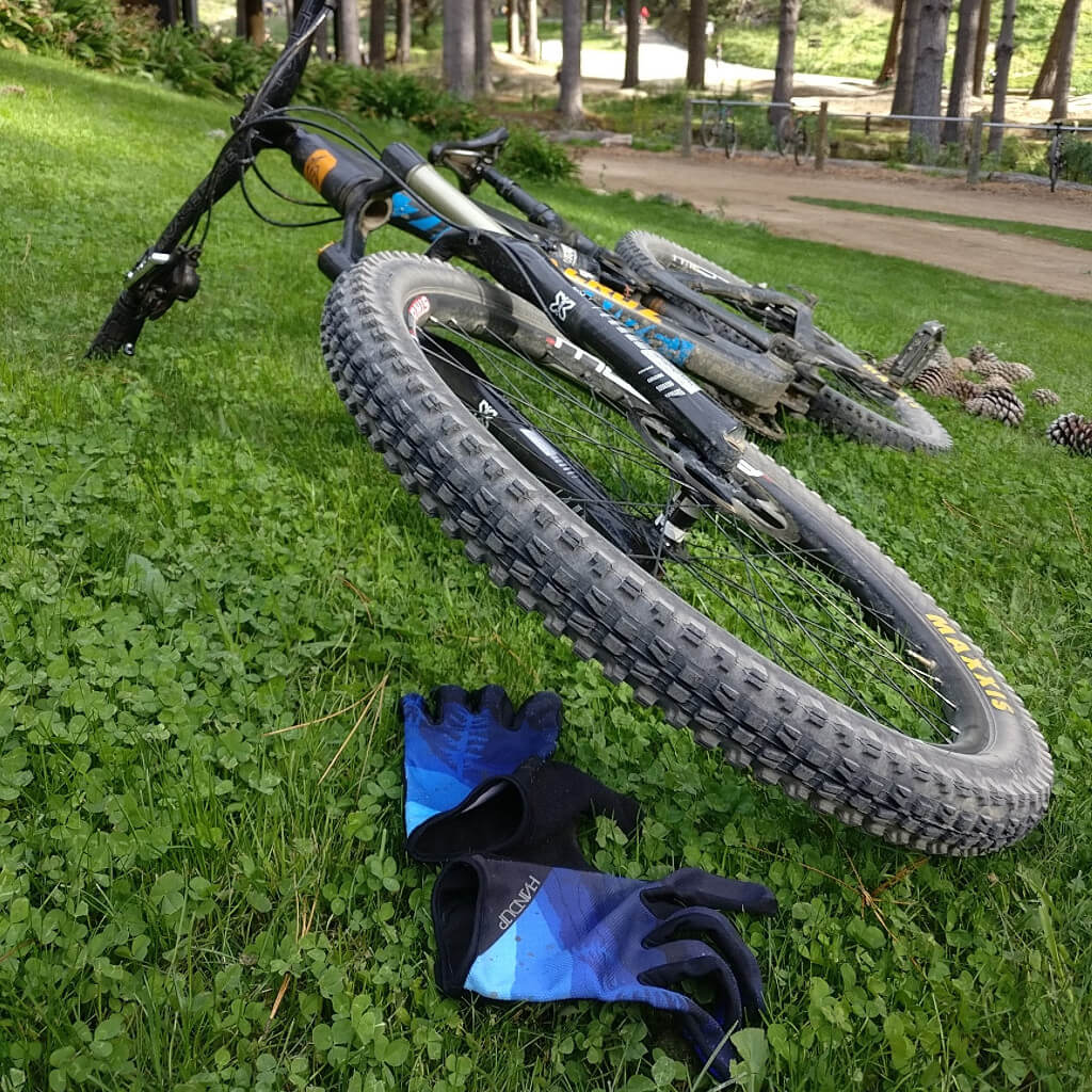 Why do you need gloves for mountain biking? – SHRED TRAIL