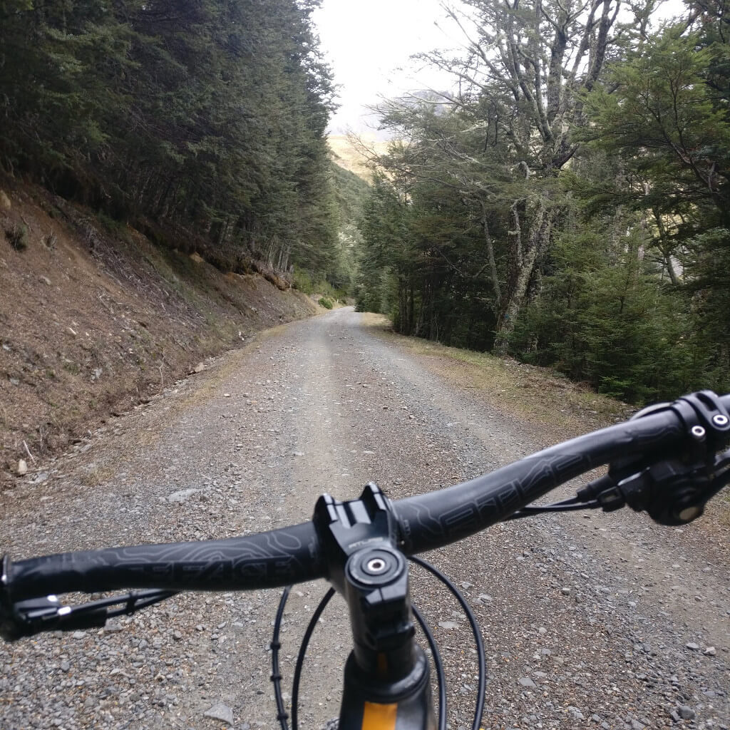 Mountain bike store fork lockout